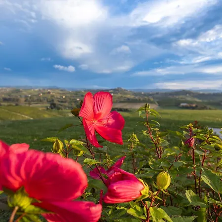 Casa Nizza D'oro Hotel Castelnuovo (Asti)