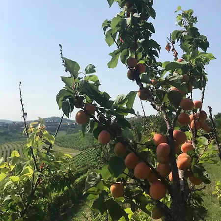 Casa Nizza D'oro Hotel *