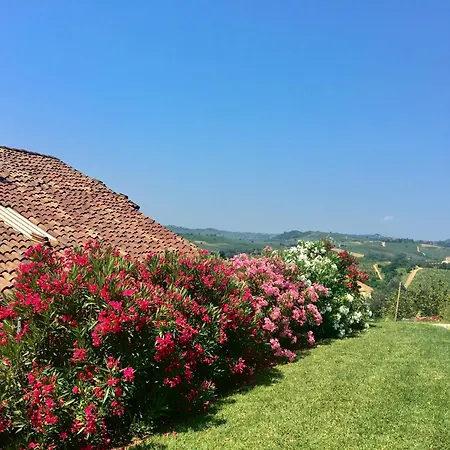 Casa Nizza D'oro